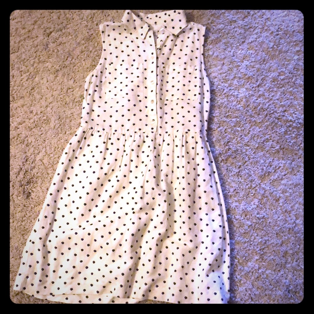 The Loft Polka Dotted Collared Dress